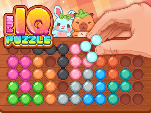 Fun IQ Puzzle Cover